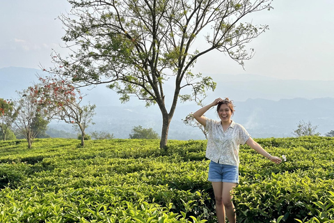Jakarta to Bandung: Whoosh Train, Tea & Floating Market Bandung : Highlands & Floating Market Day Tour from Jakarta