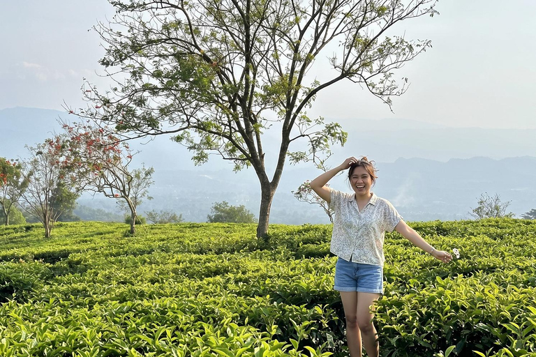 Jakarta to Bandung: Whoosh Train, Tea & Floating Market Bandung : Highlands & Floating Market Day Tour from Jakarta
