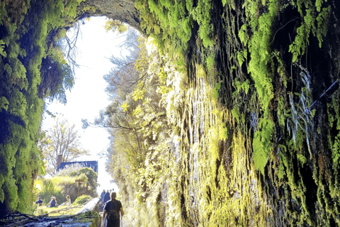 Madeira: 25 Fountains Rabaçal Forest Walk