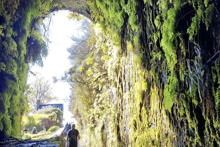Madeira: 25 Fountains Rabaçal Forest Walk