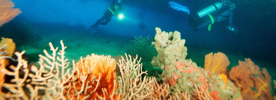 SANTO : SS President Coolidge et Million Dollar Point Dive