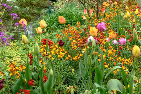 Paris: Viagem privada de 1 dia ao Jardim de Monet em Giverny