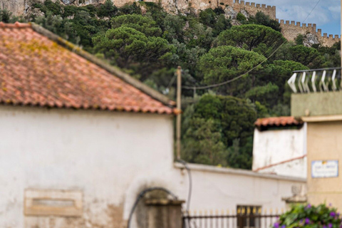 From Porto: Private Transfer to Lisbon until 3 Stops Transfer Porto - Lisbon with no stops