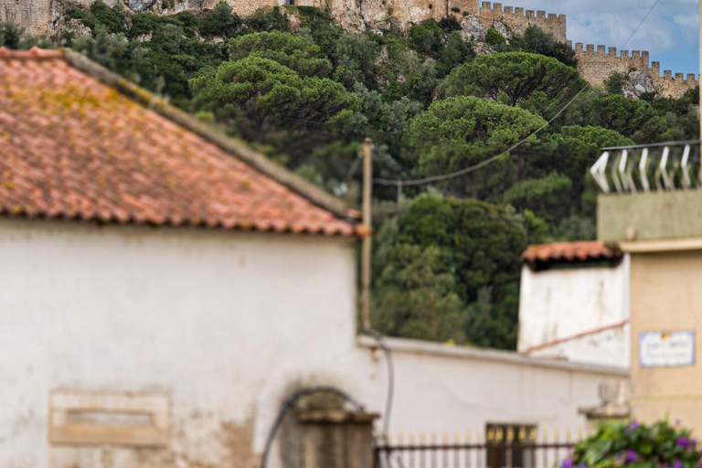 From Porto: Private Transfer to Lisbon until 3 Stops Transfer Porto - Lisbon with no stops