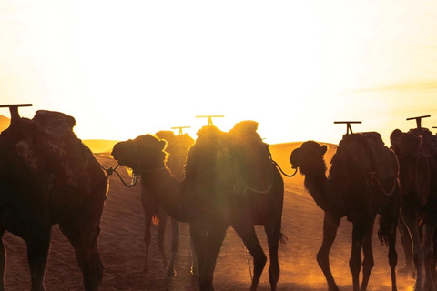 From Marrakech: 10-Day Morocco Highlights Tour