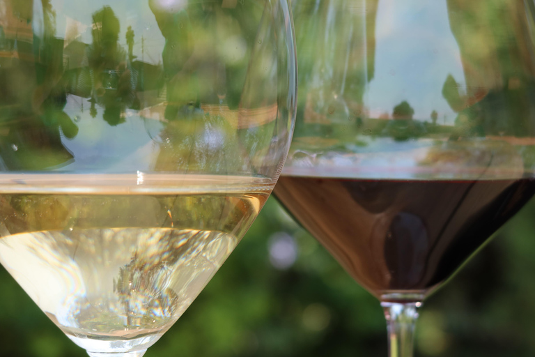 基加利：品酒体验全球葡萄品种深度解析