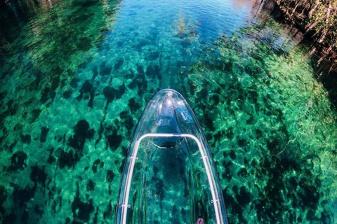 Dunnellon: Rainbow Springs Clear Kayak Guided Tour