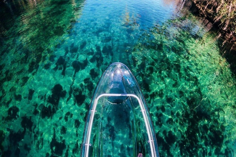 Dunnellon: Rainbow Springs Clear Kayak Guided Tour