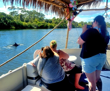 2 timmars sightseeingtur med Tiki Dolphin i Cocoa Beach