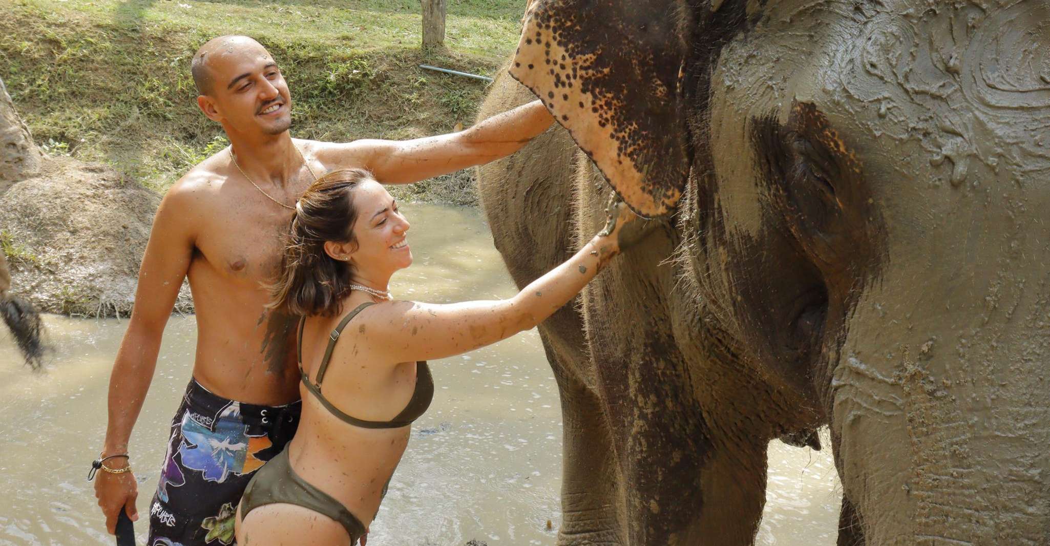 Koh Samui, Elephant Jungle Sanctuary Half-Day Tour - Housity