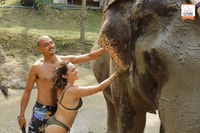 Koh Samui, Elefant Jungle Sanctuary Halbtägige Tour - Housity