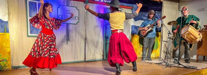 Excursion d'une demi-journée à l'Estancia 25 de Mayo Field Afternoon