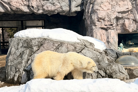Sapporo: Asahiyama Zoo, Blue Pond & Fairy Terrace Tour Departure: Odori Park Subway Station Gate 31