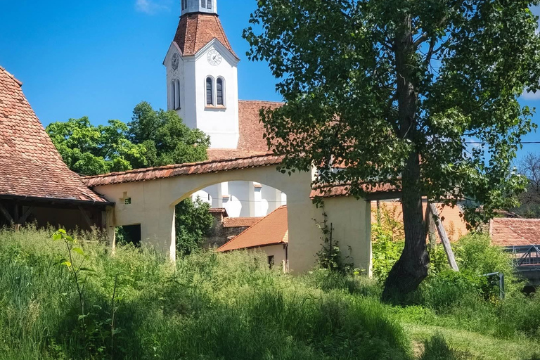 Saxon Villages Tour: Viscri, Rupea Fortress, Criț & Saschiz