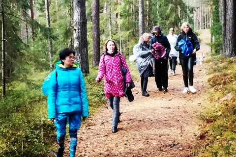 Parc national de Kemeri Chemin de randonnée (16 km)