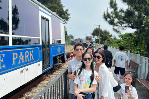 Busan: Top Attractions Tour for Cruise Guests For Busan Cruise Guest Highlight Top Attraction Group Tour