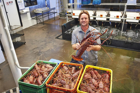 Depuis Perth : Pinnacles, ferme de la lavande et Lobster Shack