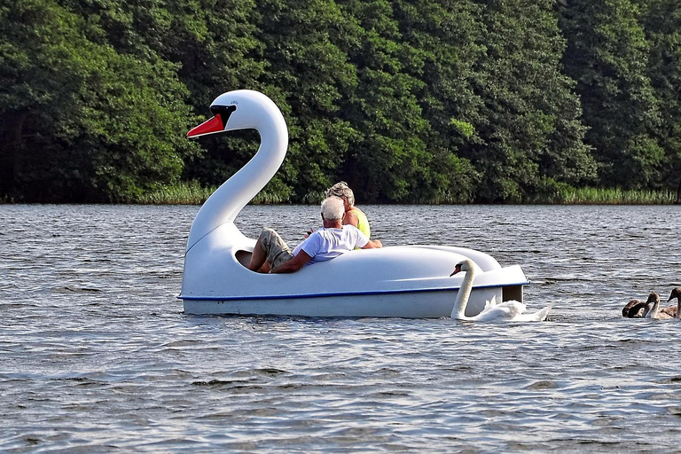 Orlando’s Lake Life: Swans, Stories & Downtown Views