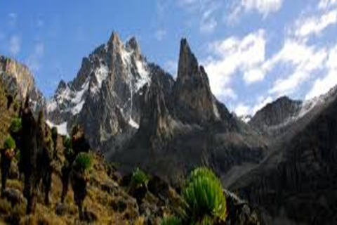 From Nairobi: Mount Kenya Day Tour with Lunch