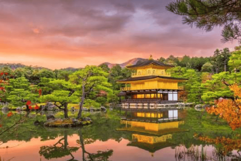 From Osaka: Osaka Private Customized Tour With English Guide Osaka : Osaka Private Tour With English Driver