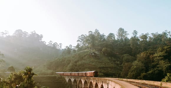 Ella: Nine Arch Bridge tuk tuk Tour
