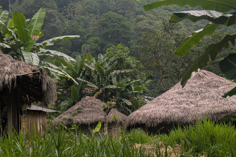 Santa Marta: 4-Day Nymejan Trek with Meals and Lodging
