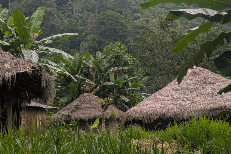 Santa Marta: 4-Day Nymejan Trek with Meals and Lodging