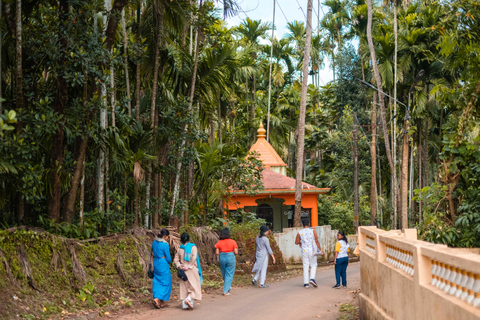 Nord de Goa : Village de Mulgao et culture de noix de coco