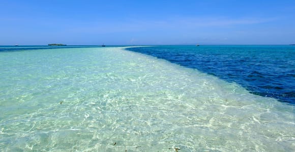 Bohol: Dolphin Watching & Balicasag Island Tour