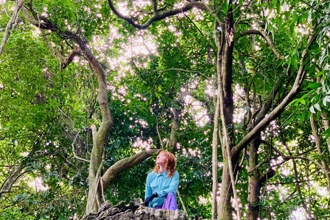 Cat Ba: Half Day Trekking to Visit Cat Ba National Park