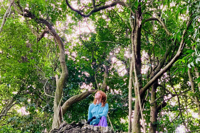 Cat Ba: Half Day Trekking to Visit Cat Ba National Park