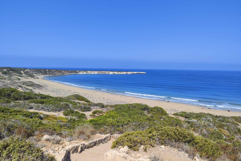 Paphos: Half-Day Private 4x4 Jeep Safari to Akamas