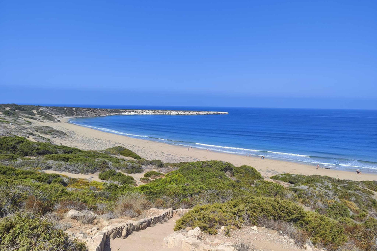 Paphos: Half-Day Private 4x4 Jeep Safari to Akamas