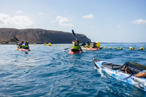 Tenerife: Kayak Safari with Sea Turtles and Snorkeling