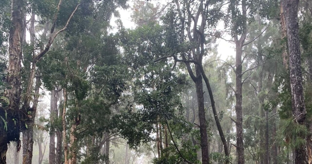 Unveiling the Enchantment: Unforgettable South Mauritius  GetYourGuide