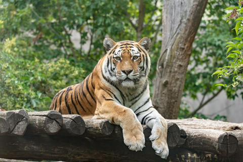 Vienna: Skip-the-line Tickets for Schönbrunn Zoo
