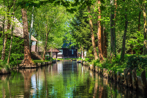 Berlin: Spreewald Kayak Day Trip with Train Ride