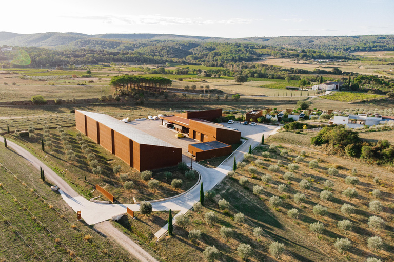 Montpellier : Visit an Olive Oil Mill