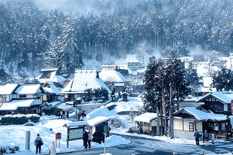 Osaka: Amanohashidate, Ine Cruise & Miyama Village From Osaka (Basic Package)