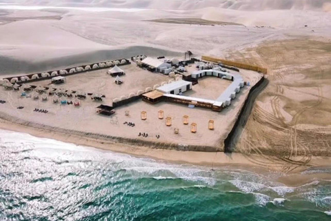 Doha Arabian Overnight : Desert Safari & Starlit Camp Stay