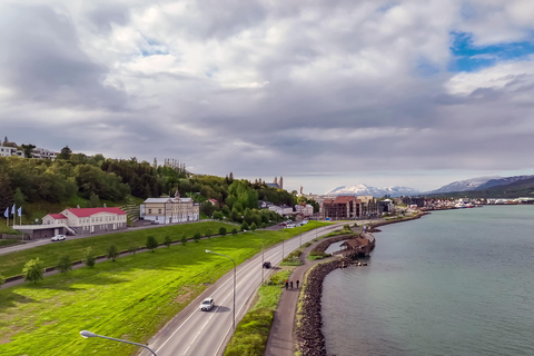 Akureyri: E-Bike Tour with Forest Lagoon Entry