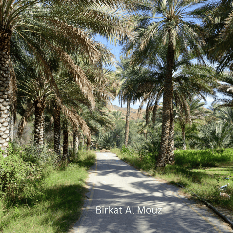From Muscat: Nizwa and Jebel Akhdar 2-Day Tour