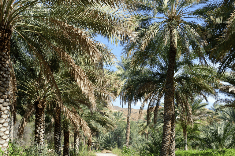 From Muscat: Nizwa and Jebel Akhdar 2-Day Tour Tour with English Speaking Guide/Driver