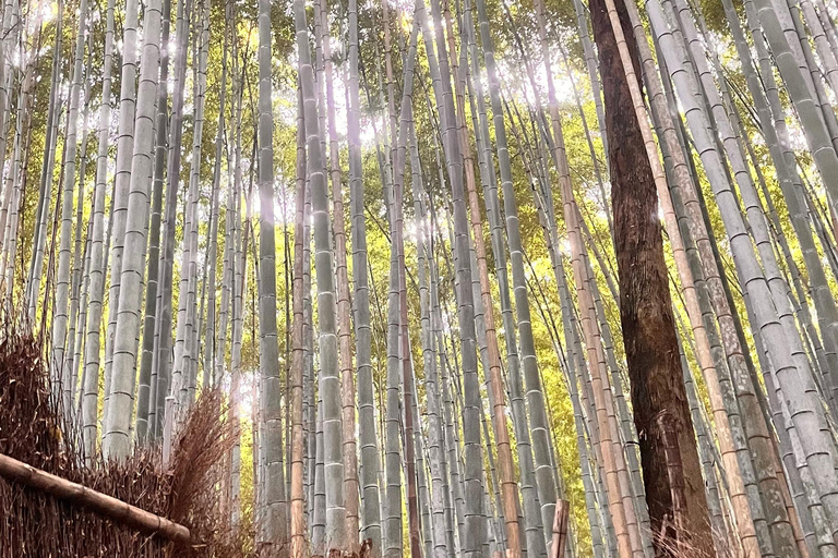 Kioto y Nara Lugares declarados patrimonio de la humanidad por la UNESCO Visita guiada en inglés