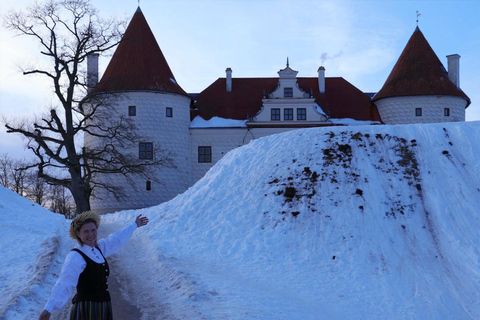 From Riga: Guided Day Tour to Rundale Palace & Bauska Castle
