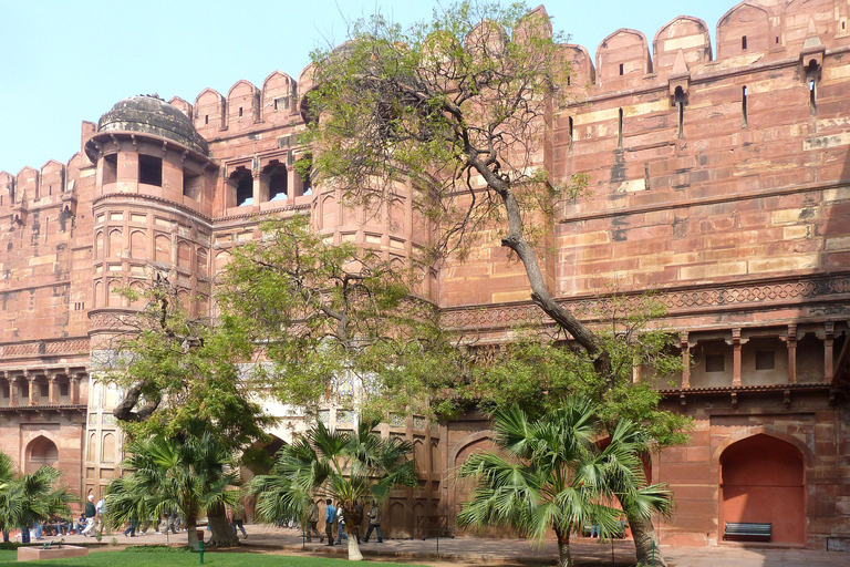 Agra: Same Day Marble Majesty and Agra Fort