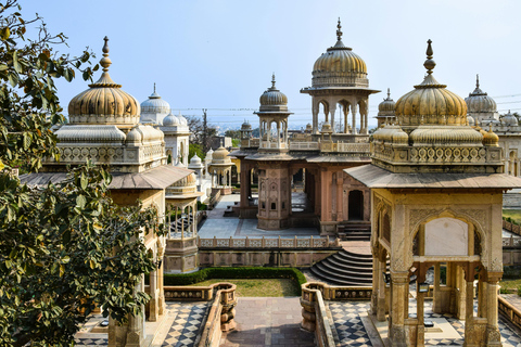Jaipur: Full-Day Pink City Tour with Masala Tea Tour by Car and Driver with a Guide