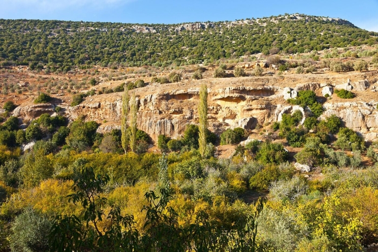 Desde Ammán: Excursión Privada a Jerash, el Castillo de Ajloun y Umm QaisJerash y el Castillo de Ajloun (Excursión de 7 horas)