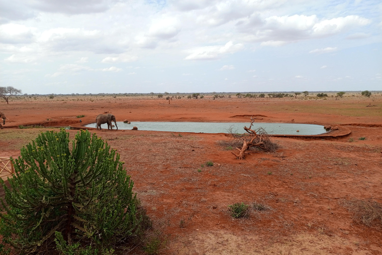 Mombasa: Safari di 3 giorni allo Tsavo Est e Ovest con alloggio