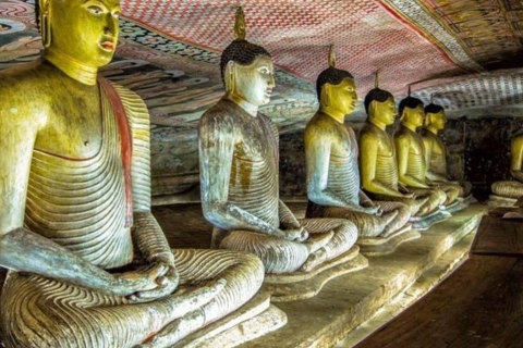 Sigiriya Rock & Cave Temple Discovery: All-Inclusive Abenteuer